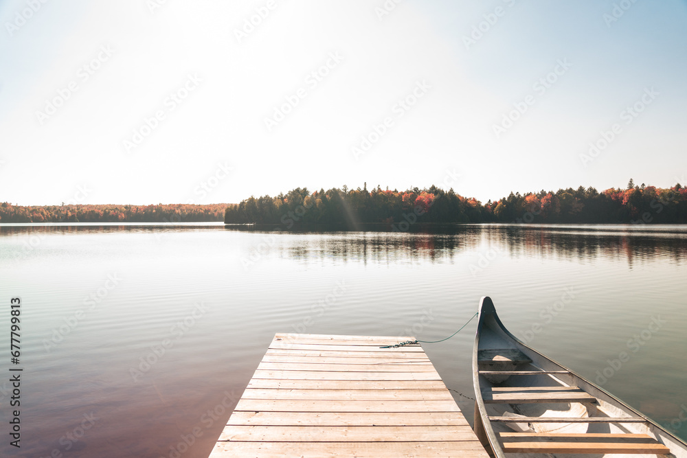 Obraz premium Lake life