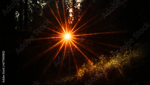 Overlay, flare light transition, effects sunlight, lens flare, light leaks. High-quality stock image of warm sun rays light effects, overlays or Forest Green flare isolated on black back