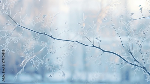  a close up of a frosted tree branch in front of a window with a blurry building in the background. © Anna
