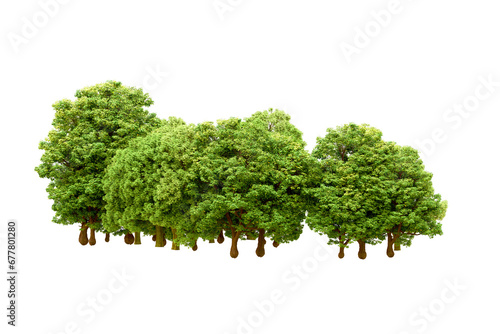 Fototapeta Naklejka Na Ścianę i Meble -  Green forest isolated on transparent background. 3d rendering - illustration