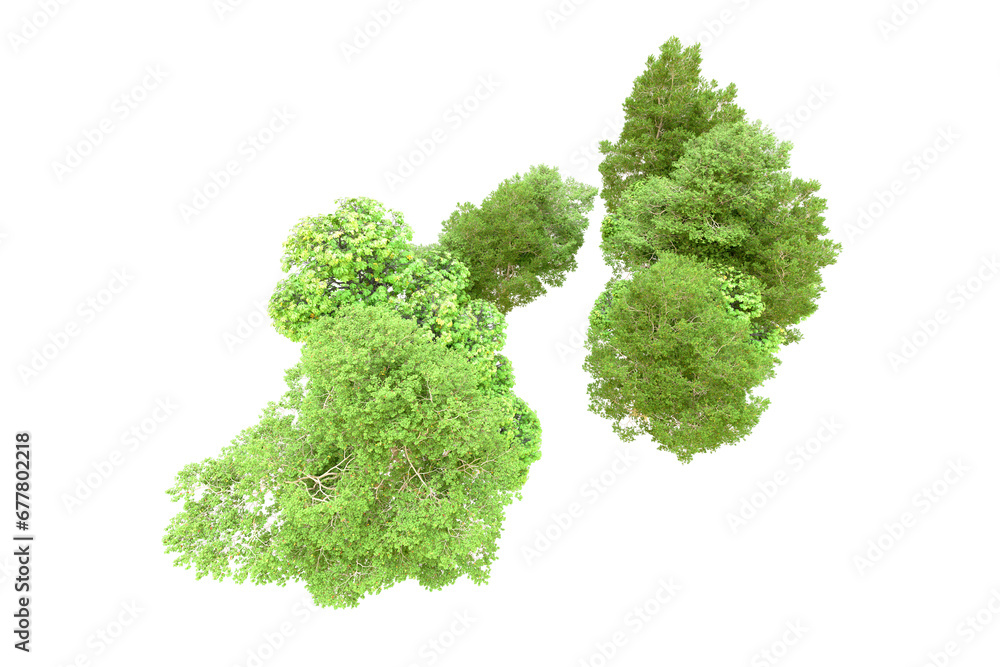 Green forest isolated on transparent background. 3d rendering - illustration Green forest isolated on transparent background. 3d rendering - illustration