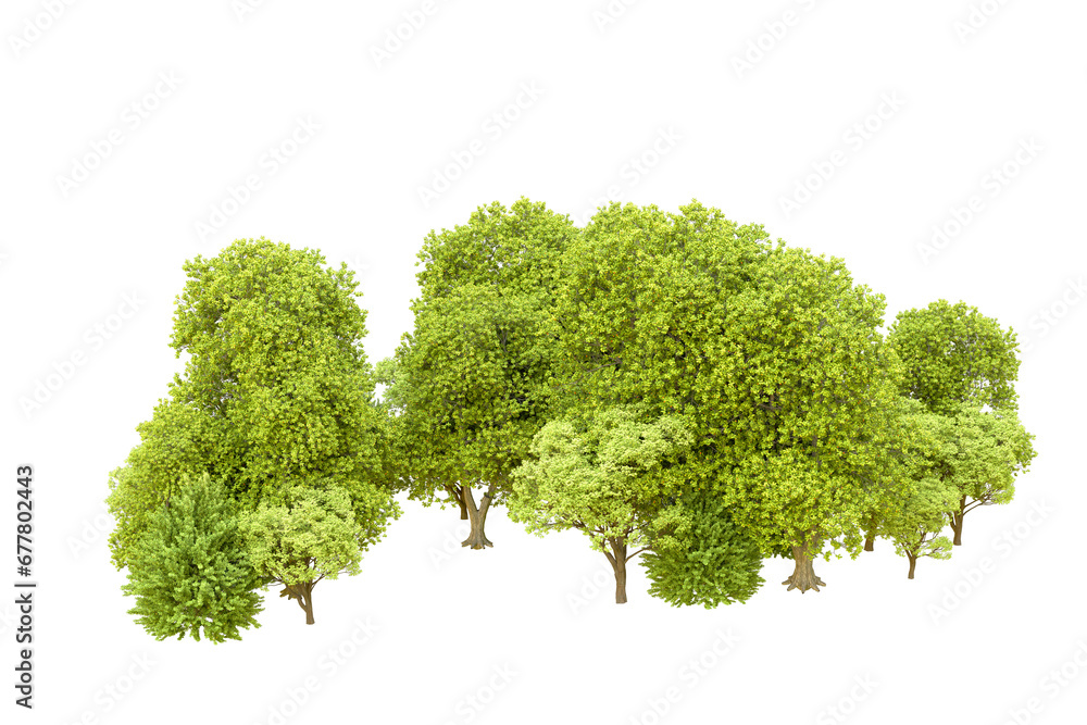 Fototapeta premium Green forest isolated on transparent background. 3d rendering - illustration