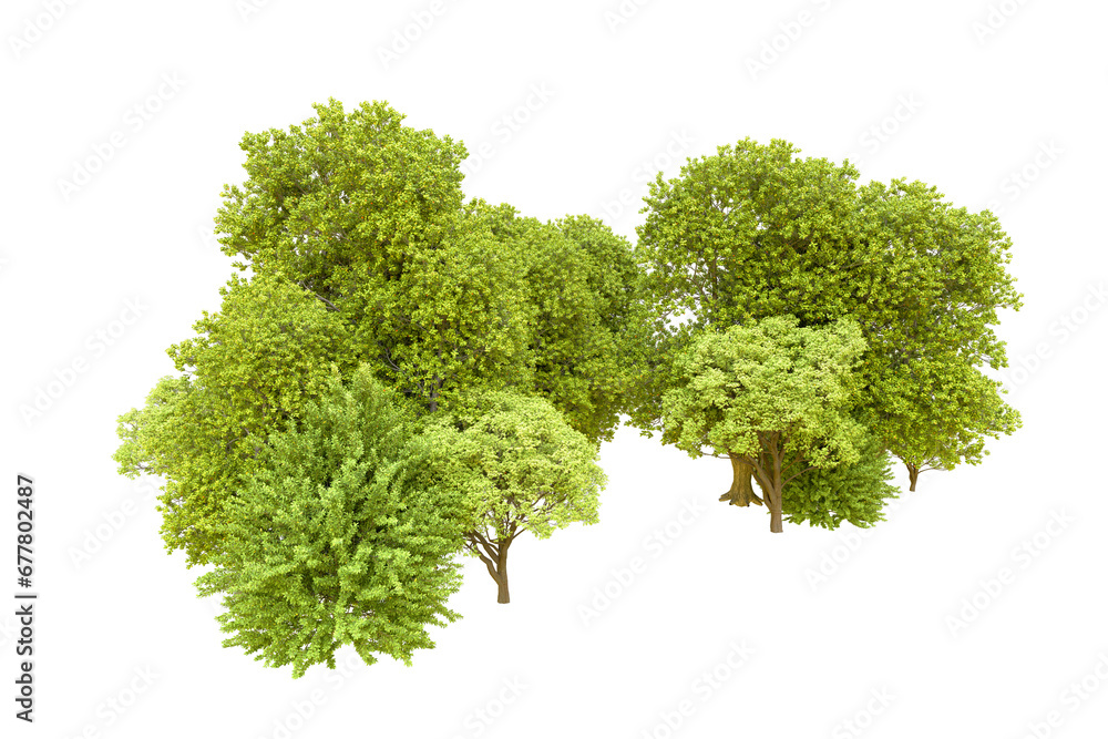 Obraz premium Green forest isolated on transparent background. 3d rendering - illustration