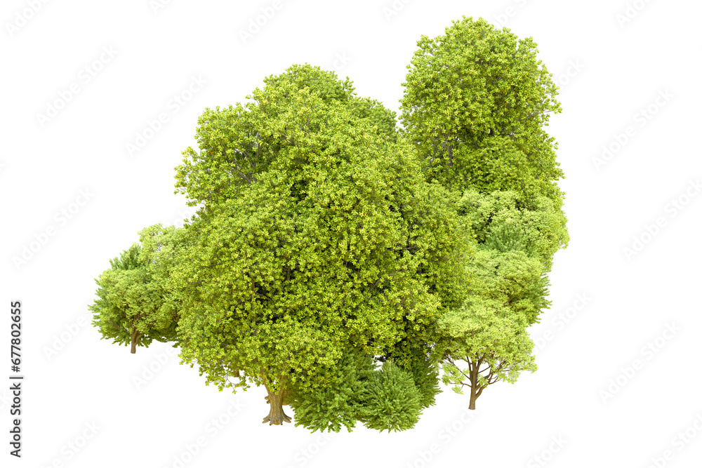 Obraz premium Green forest isolated on transparent background. 3d rendering - illustration