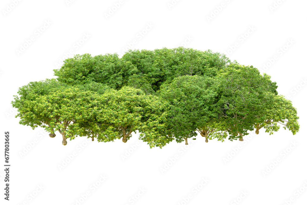 Green forest isolated on transparent background. 3d rendering - illustration Green forest isolated on transparent background. 3d rendering - illustration
