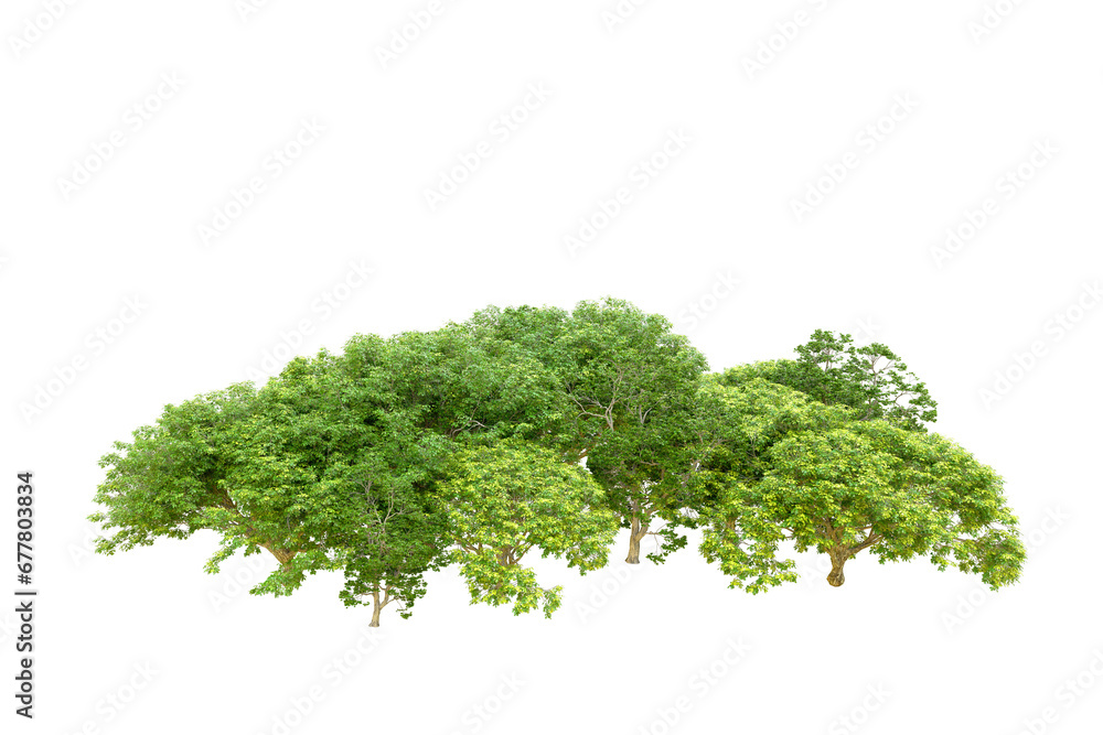 Green forest isolated on transparent background. 3d rendering - illustration Green forest isolated on transparent background. 3d rendering - illustration
