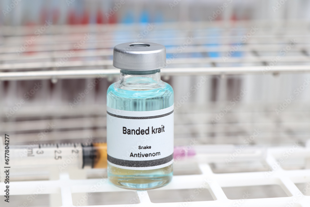 Banded krait, Snake antivenoms in a vial, Serum for injection to prevent venom from snake bites Banded krait, Snake antivenoms in a vial, Serum for injection to prevent venom from snake bites