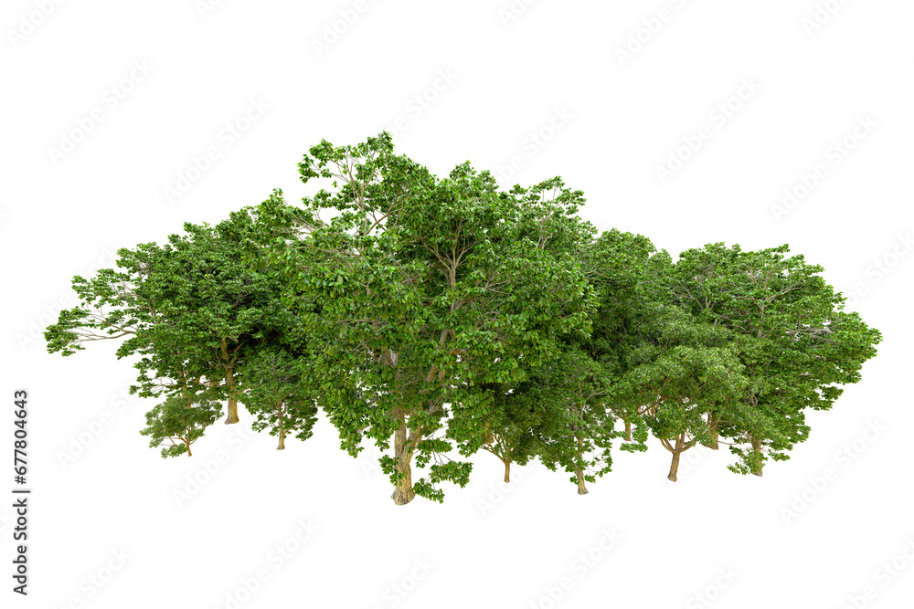Fototapeta premium Green forest isolated on transparent background. 3d rendering - illustration