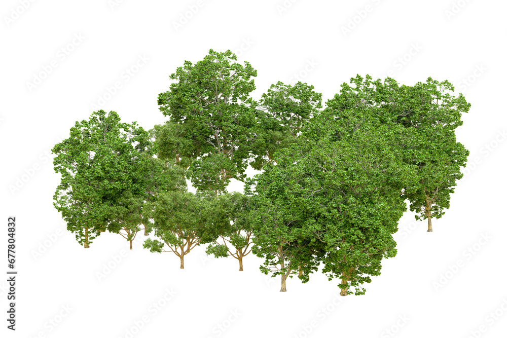 Obraz premium Green forest isolated on transparent background. 3d rendering - illustration