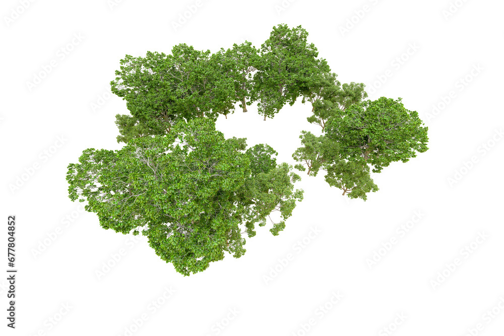 Fototapeta premium Green forest isolated on transparent background. 3d rendering - illustration