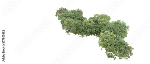 Green forest isolated on transparent background. 3d rendering - illustration