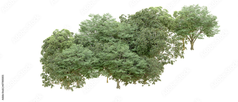 Obraz premium Green forest isolated on transparent background. 3d rendering - illustration