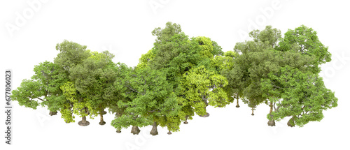 Fototapeta Naklejka Na Ścianę i Meble -  Green forest isolated on transparent background. 3d rendering - illustration