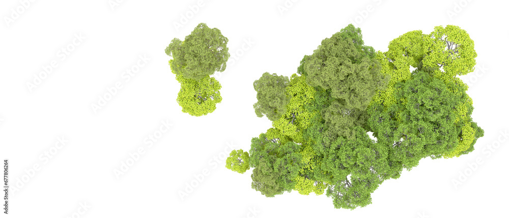 Green forest isolated on transparent background. 3d rendering - illustration Green forest isolated on transparent background. 3d rendering - illustration