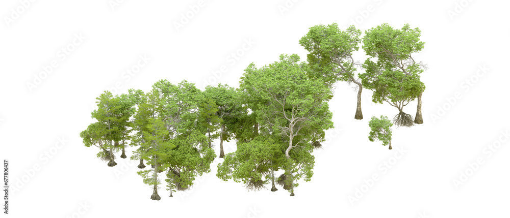 Green forest isolated on transparent background. 3d rendering - illustration Green forest isolated on transparent background. 3d rendering - illustration