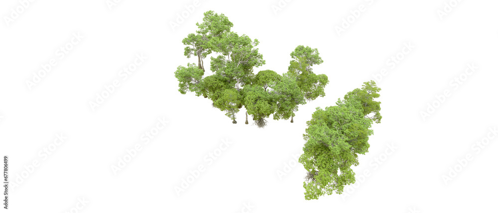 Naklejka premium Green forest isolated on transparent background. 3d rendering - illustration
