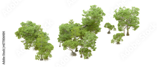 Green forest isolated on transparent background. 3d rendering - illustration