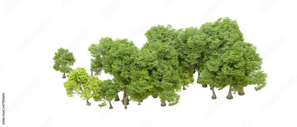 Fototapeta premium Green forest isolated on transparent background. 3d rendering - illustration