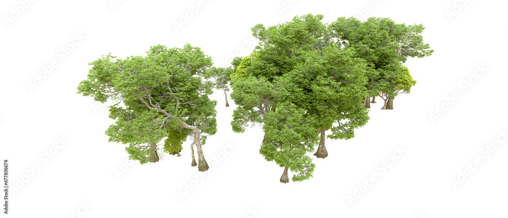 Fototapeta premium Green forest isolated on transparent background. 3d rendering - illustration