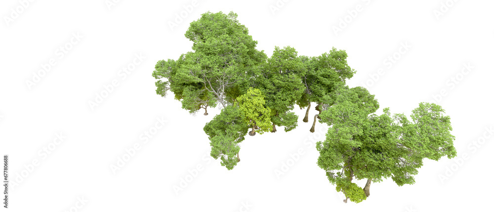 Fototapeta premium Green forest isolated on transparent background. 3d rendering - illustration