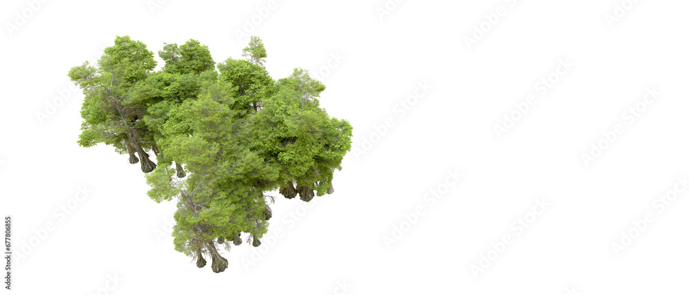 Obraz premium Green forest isolated on transparent background. 3d rendering - illustration