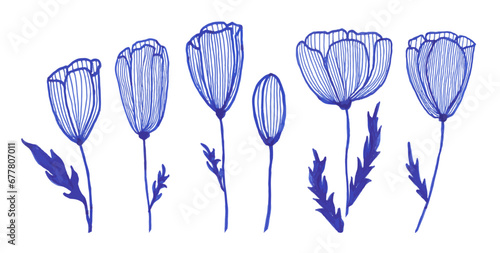 Tulip's flower set for banner or invitation card. Vector illustrations, isolate on white background, blue ink hand drawn line art spring flower clip art