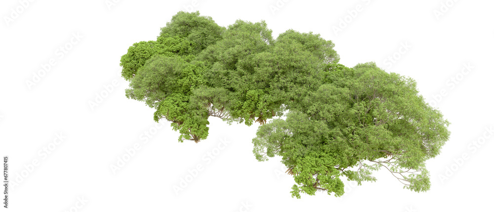 Green forest isolated on transparent background. 3d rendering - illustration Green forest isolated on transparent background. 3d rendering - illustration