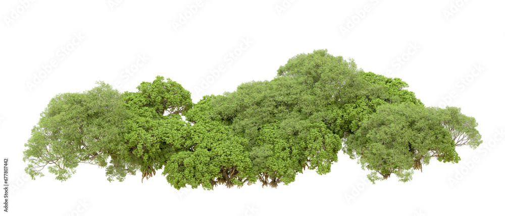Fototapeta premium Green forest isolated on transparent background. 3d rendering - illustration