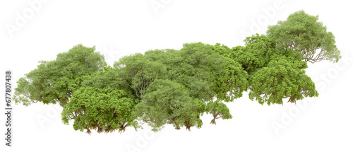 Green forest isolated on transparent background. 3d rendering - illustration