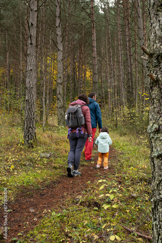Rear view of a family with one child walking in a pine forest.