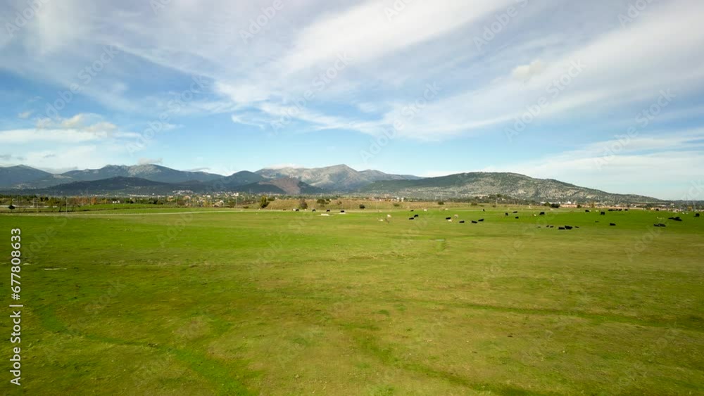 Flyover with a drone of a green meadow with winner, with the mountains and a road in the background. Flyover with a drone of a green meadow with winner, with the mountains and a road in the background.