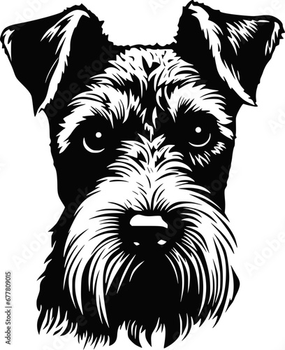 Cute Airdale Terrier dog, illustration, vector on white background