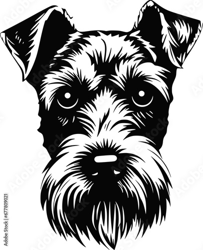 Cute Airdale Terrier dog, illustration, vector on white background