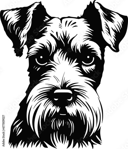 Cute Airdale Terrier dog, illustration, vector on white background