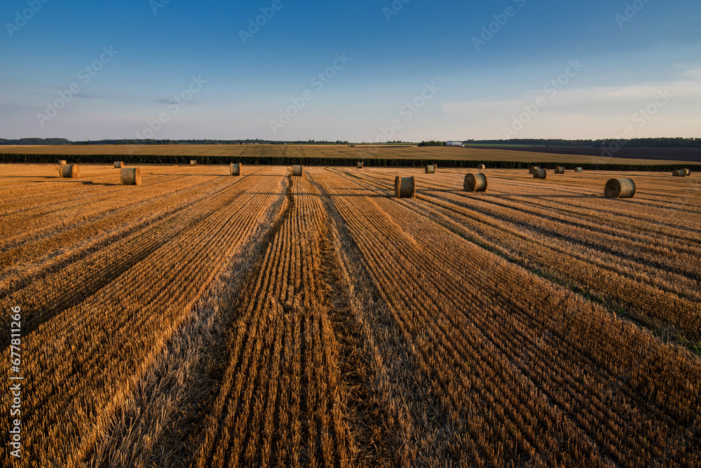 cut stubble lines and straw rolls, top view