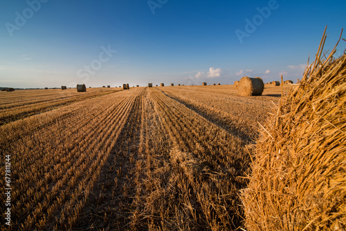 stubble lines and straw rolls, top view from roll