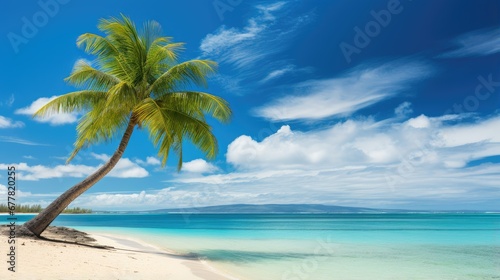 Beautiful palm tree on tropical island beach on background blue sky with white clouds and turquoise ocean on sunny day © Creative Canvas