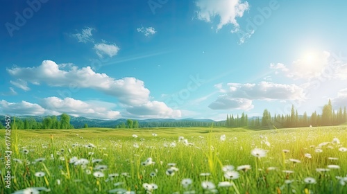 Colorful flower meadow with daisies against blue sky © Creative Canvas
