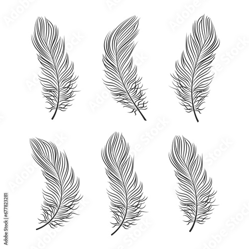 Set of contour bird feathers on a white background, line art. Decor elements, vector