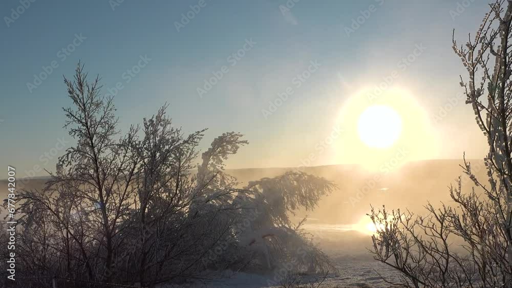 Snow on tree branches. Sunny winter morning. Winter Blizzard. Amazing winter landscape with romantic foggy sunset. Wonderful cold day. 2024 Happy New Year Theme. Snow on tree branches. Sunny winter morning. Winter Blizzard. Amazing winter landscape with romantic foggy sunset. Wonderful cold day. 2024 Happy New Year Theme.