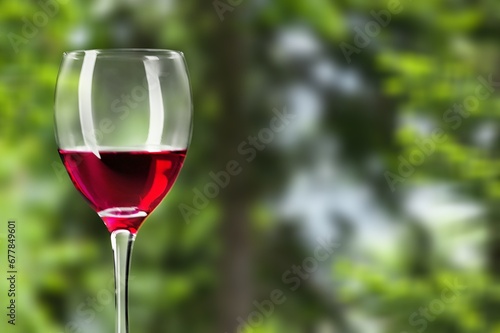 red wine chilled ice in glass at nature background