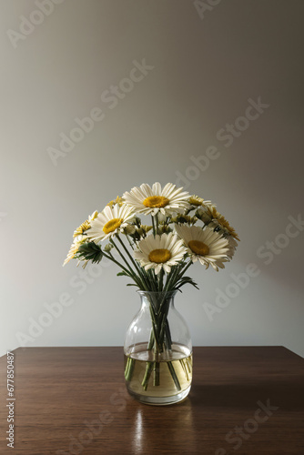Barberton daisy African daisies flower, white and yellow in vase, Gerbera daisy, transvaal daisy, jamesonii photo