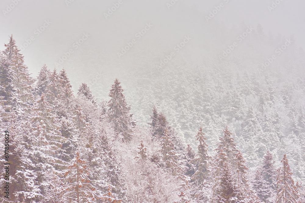 winter mountain landscape with snow and snow-covered fir trees 04