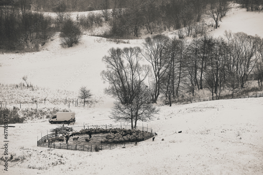 rural winter landscape in the hill area with households and human activities