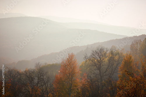 beautiful autumn landscape with forest in the fog