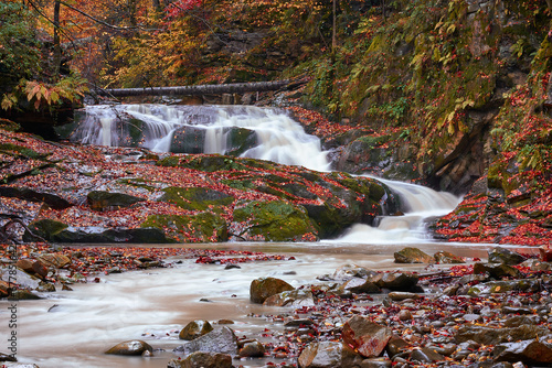 Obraz na płótnie autumn landscape with mountain river and silky waterfall w salonie