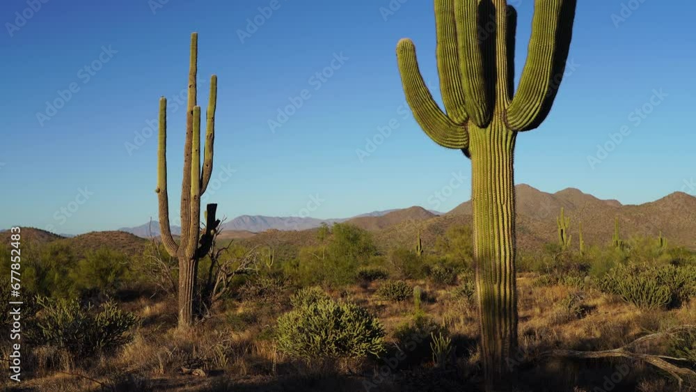 Arizona Desert Landscapes, America, USA. Arizona Desert Landscapes, America, USA.