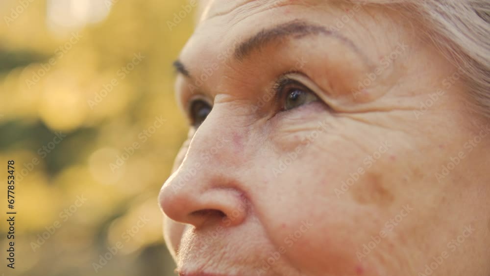 Macro close-up face of aging lady, skin imperfections such as wrinkles, spider vines and age spots, femininity of aged woman Macro close-up face of aging lady, skin imperfections such as wrinkles, spider vines and age spots, femininity of aged woman