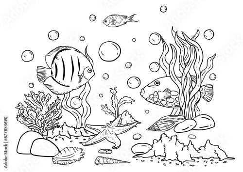  Vector illustration of a coloring book of the underwater world with beautiful fish, shells, algae in the sea