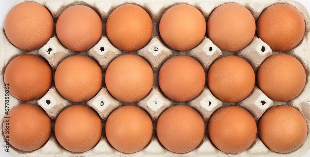 brown hen eggs in carton box isolated on white background. brown hen eggs in carton box isolated on white background.